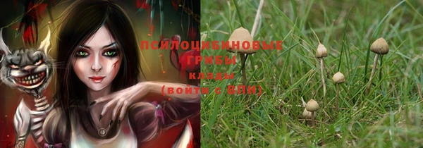 бошки Алексеевка